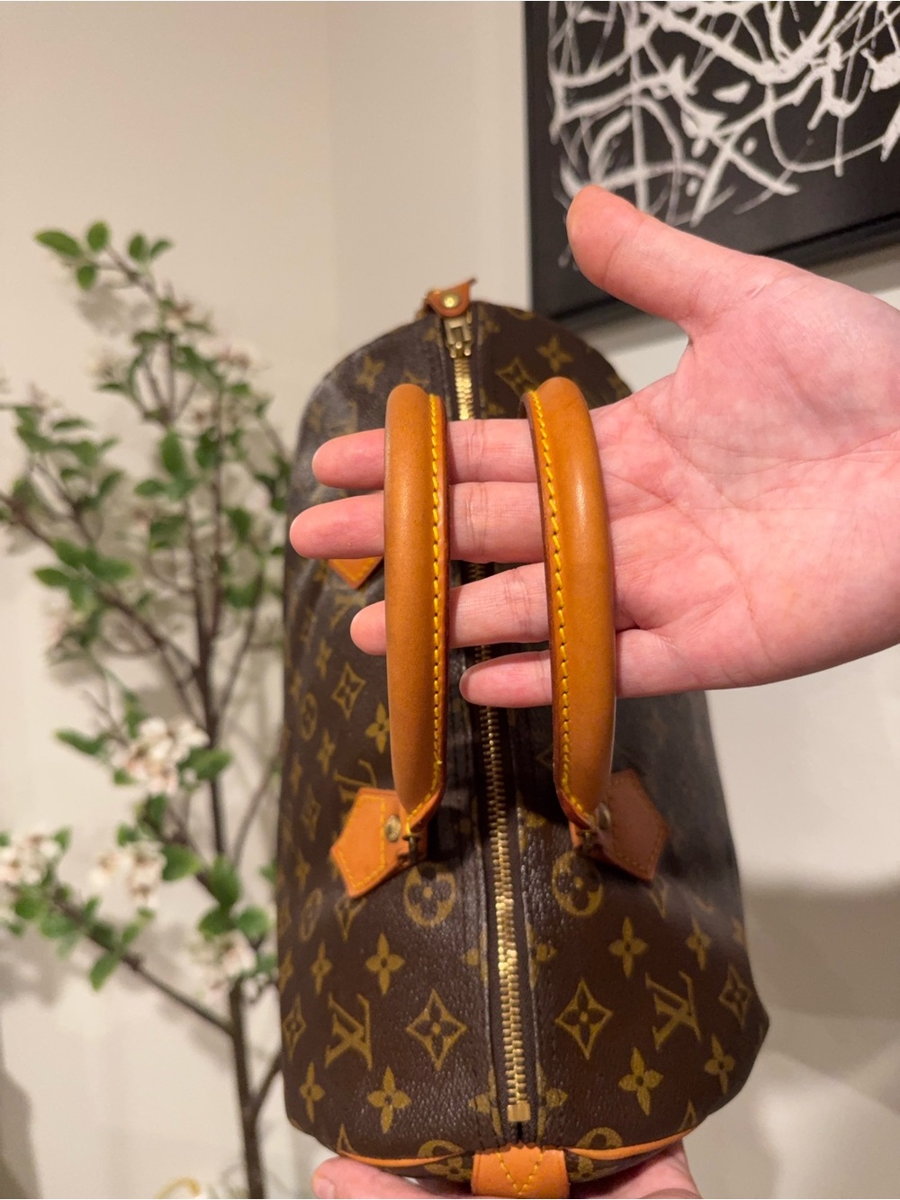 LV Speedy 30 in monogram - Picture 6 of 13